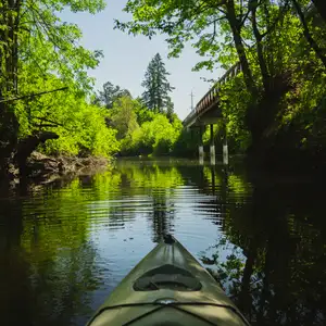 Tualatin River Access: Rood Bridge to Farmington Paddle