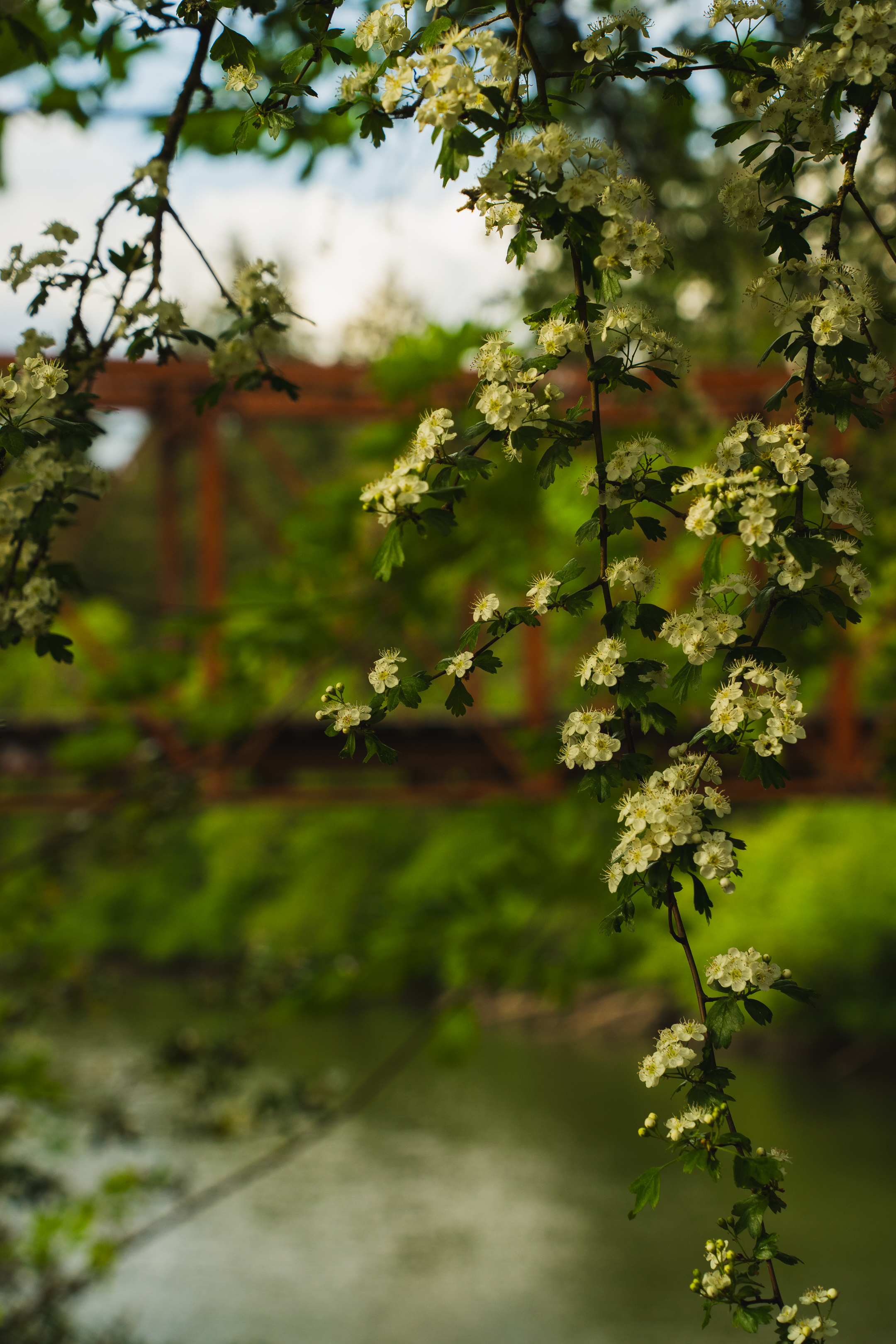 Tualatin River Trail