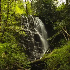 University Falls via Nels Rogers and Wilson River Wagon Road