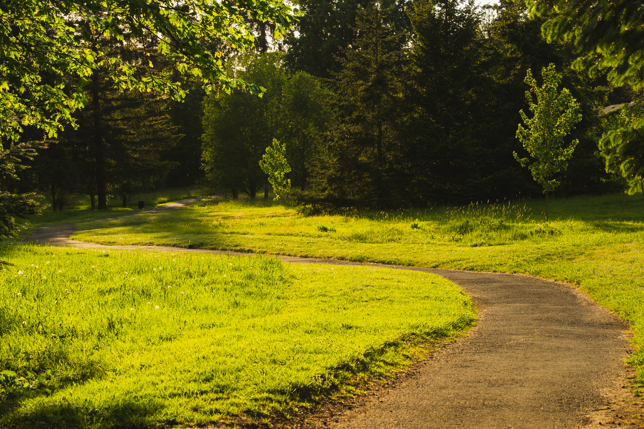 Tualatin River Trail