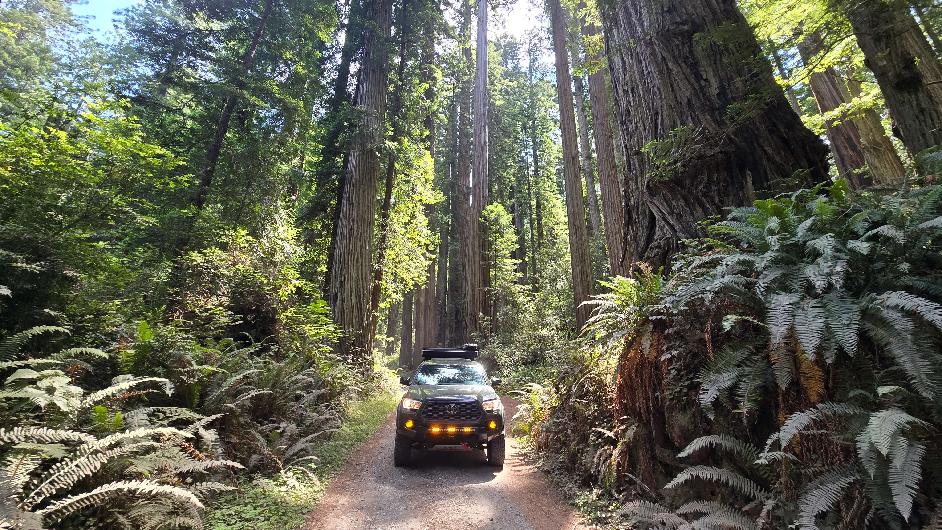 Cal Barrel Road