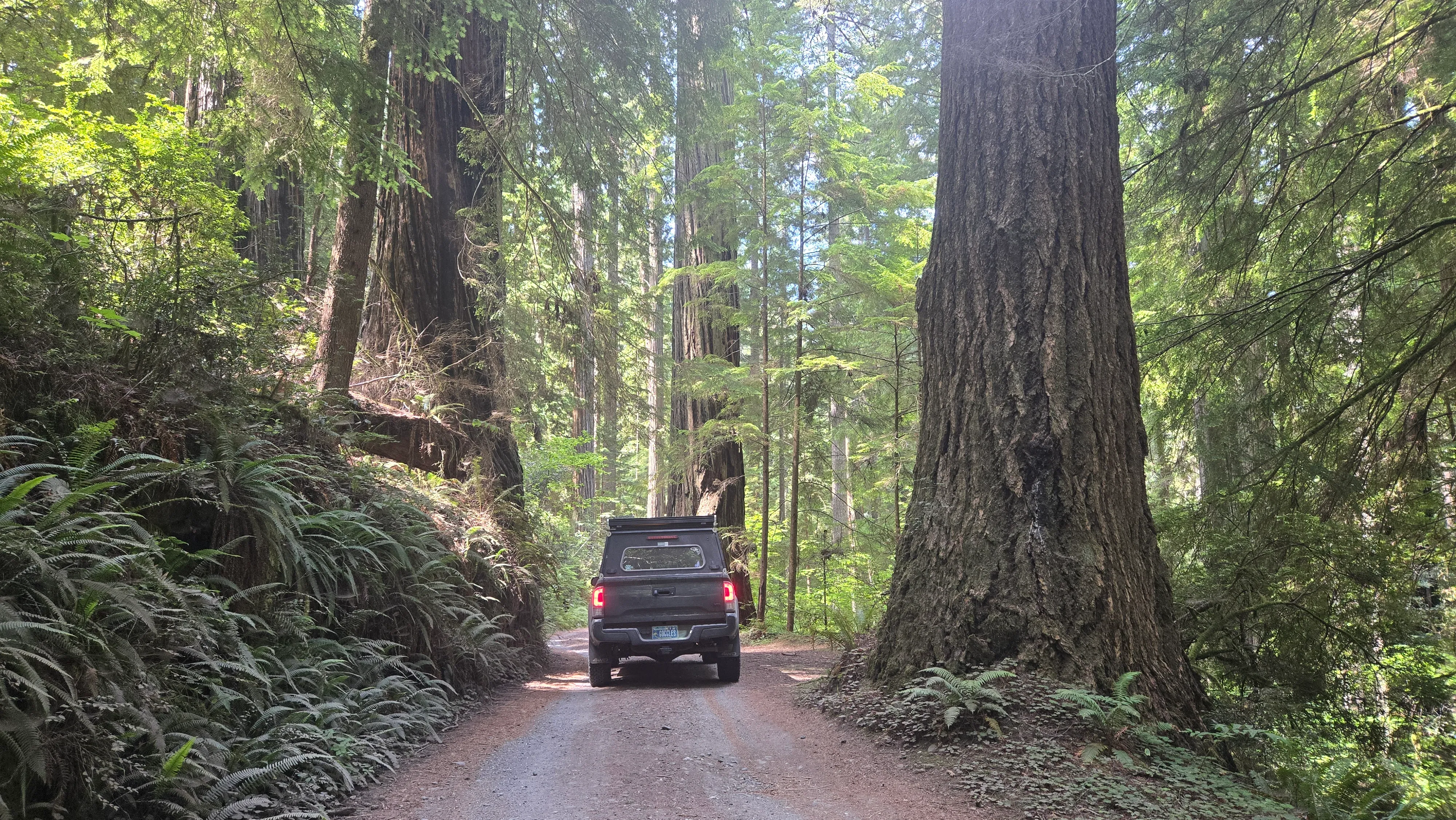 Cal Barrel Road