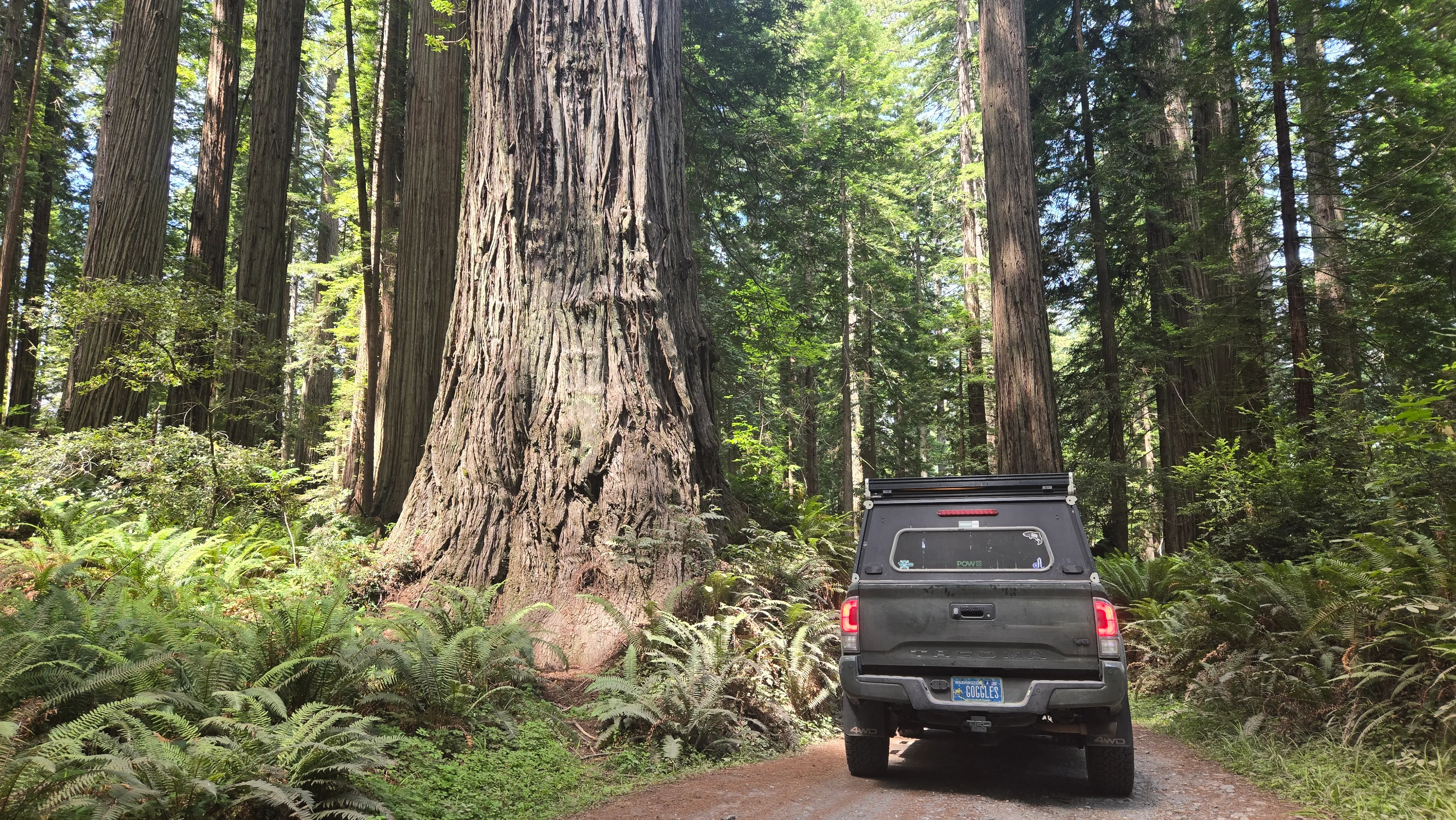 Cal Barrel Road