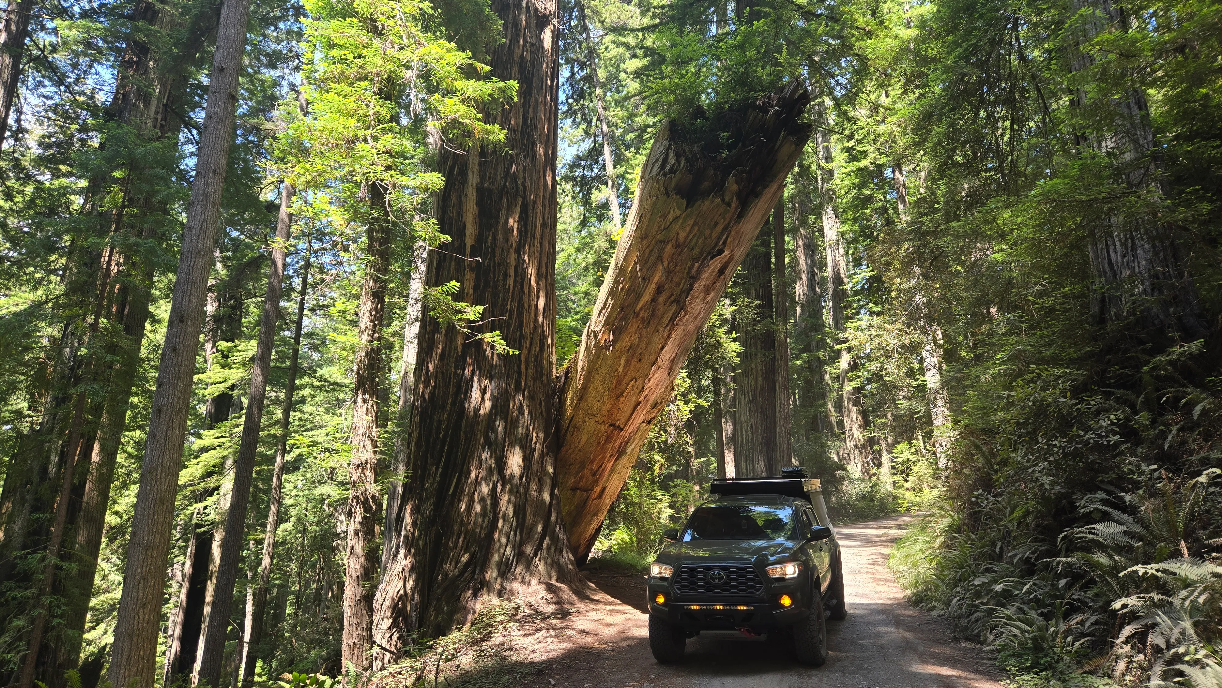 Cal Barrel Road