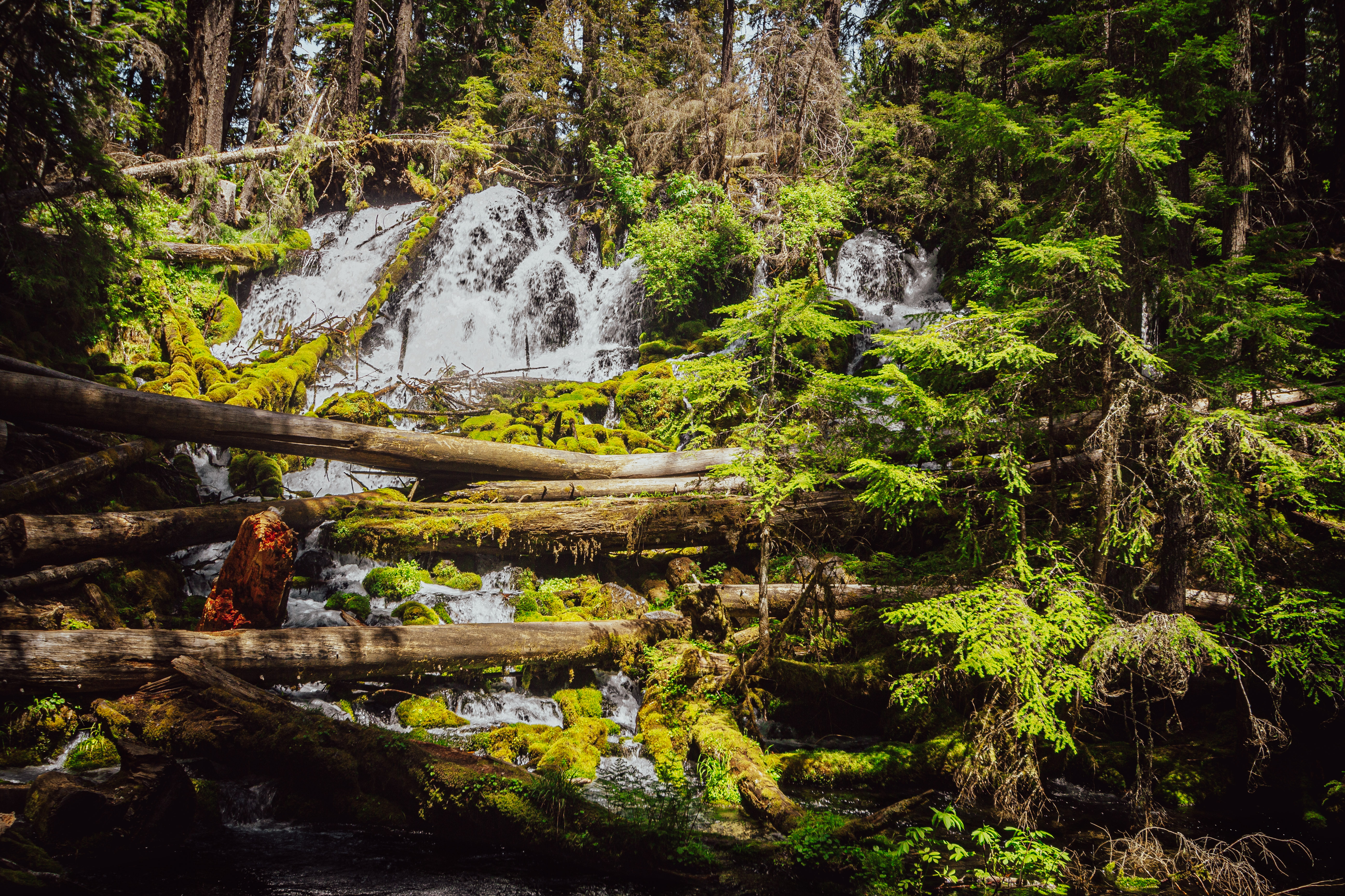 Clearwater Falls