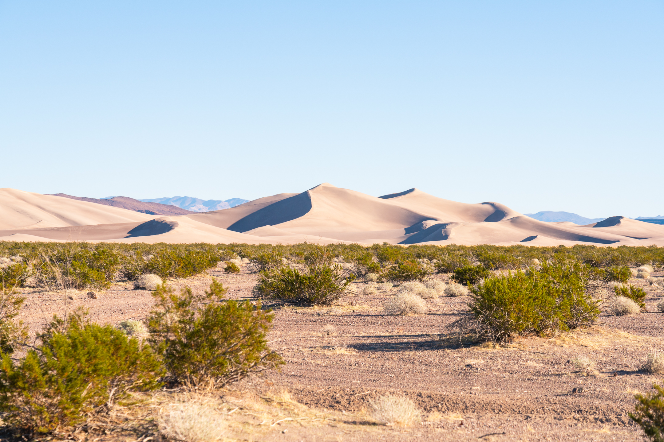 Big Dune