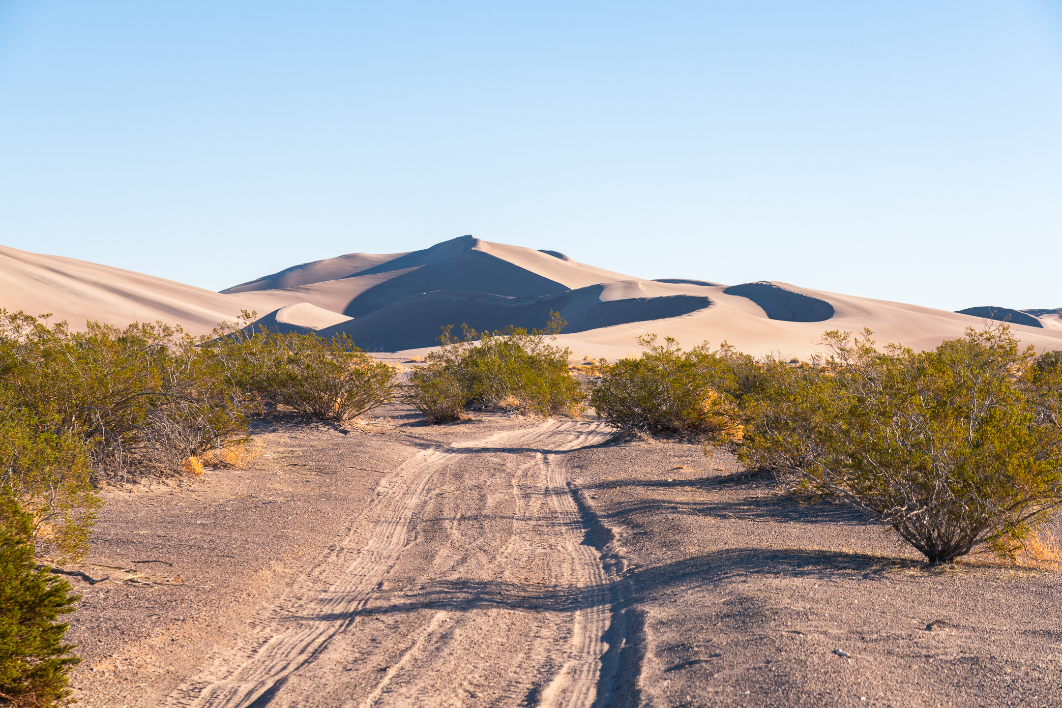 Big Dune