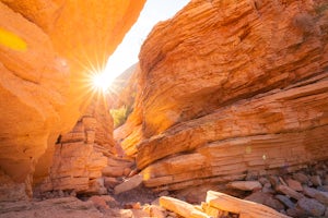 Anniversary Narrows Slot Canyon