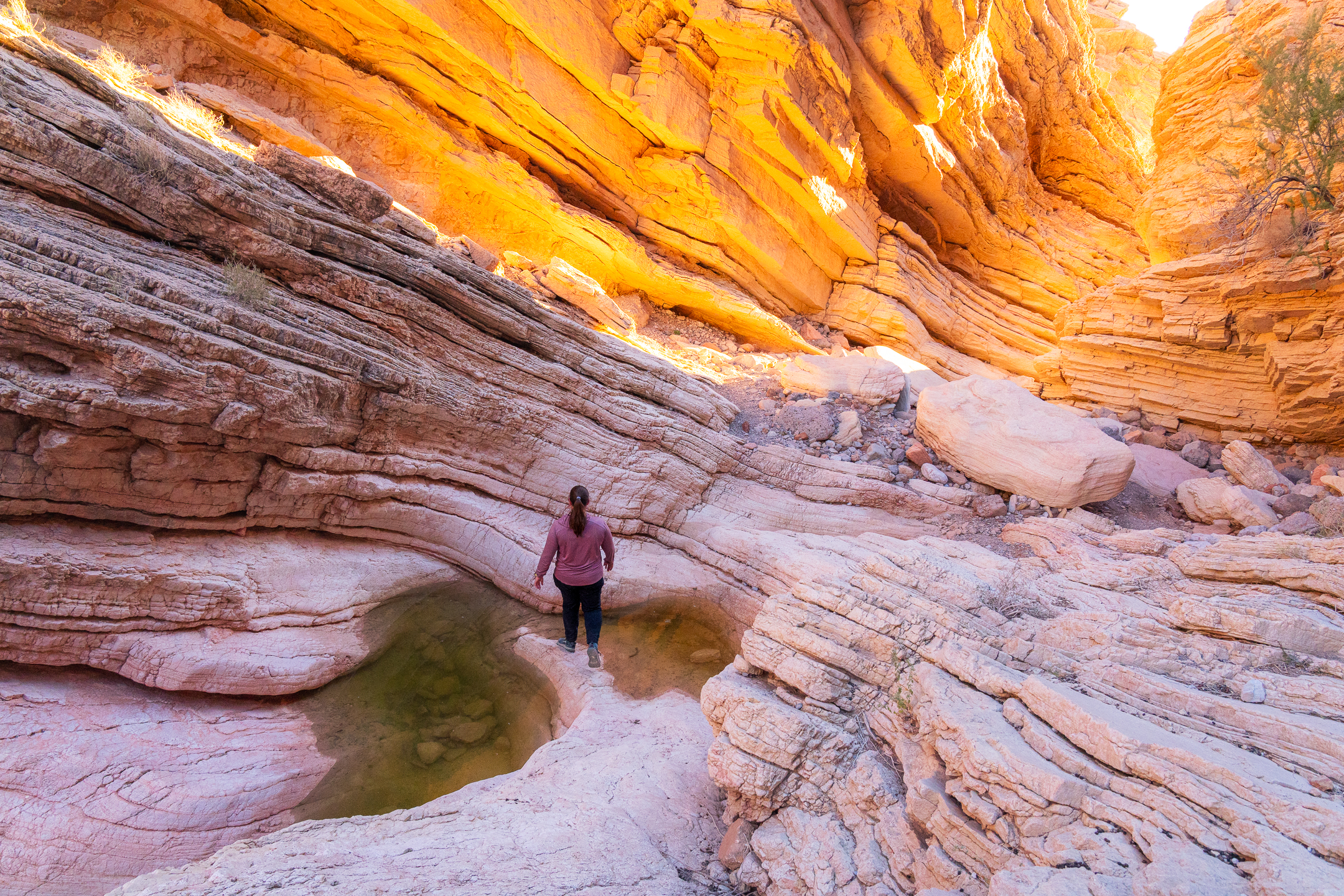 Anniversary Narrows Slot Canyon