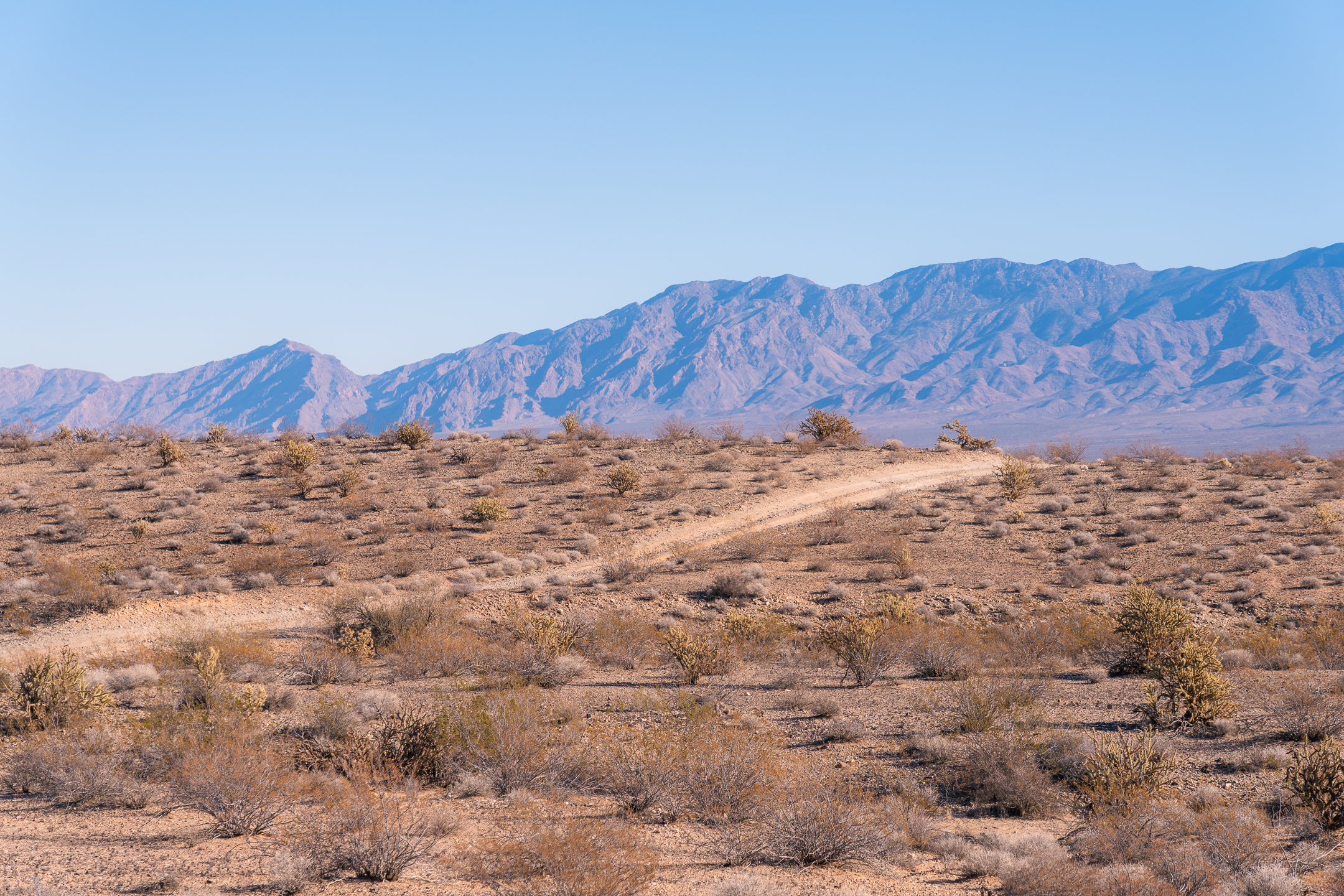 Mesquite OHV Trail Network