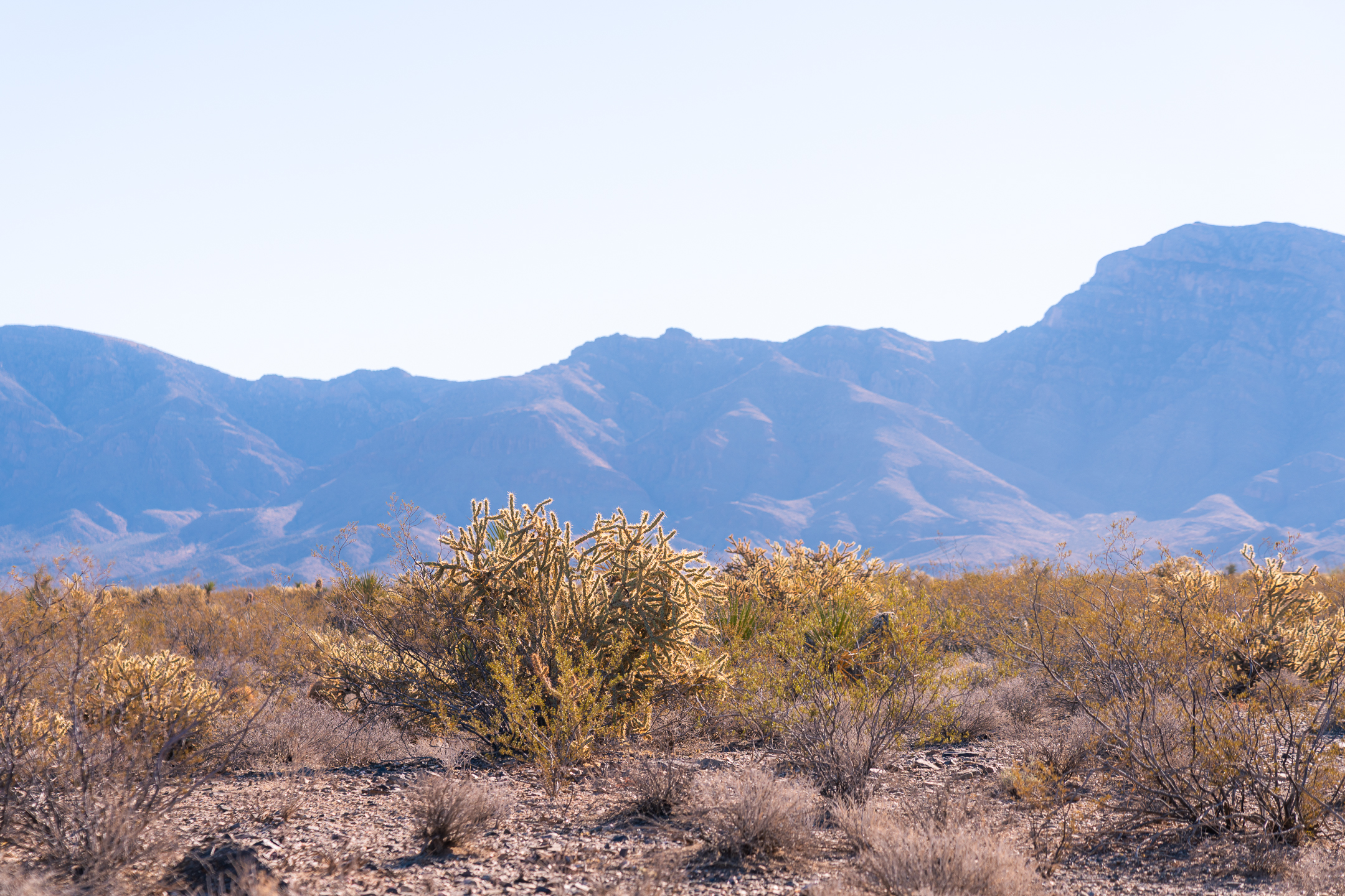 Mesquite OHV Trail Network
