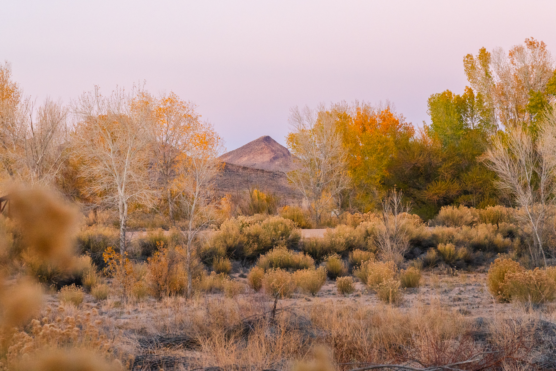 Upper Pahranagat Lake Loop