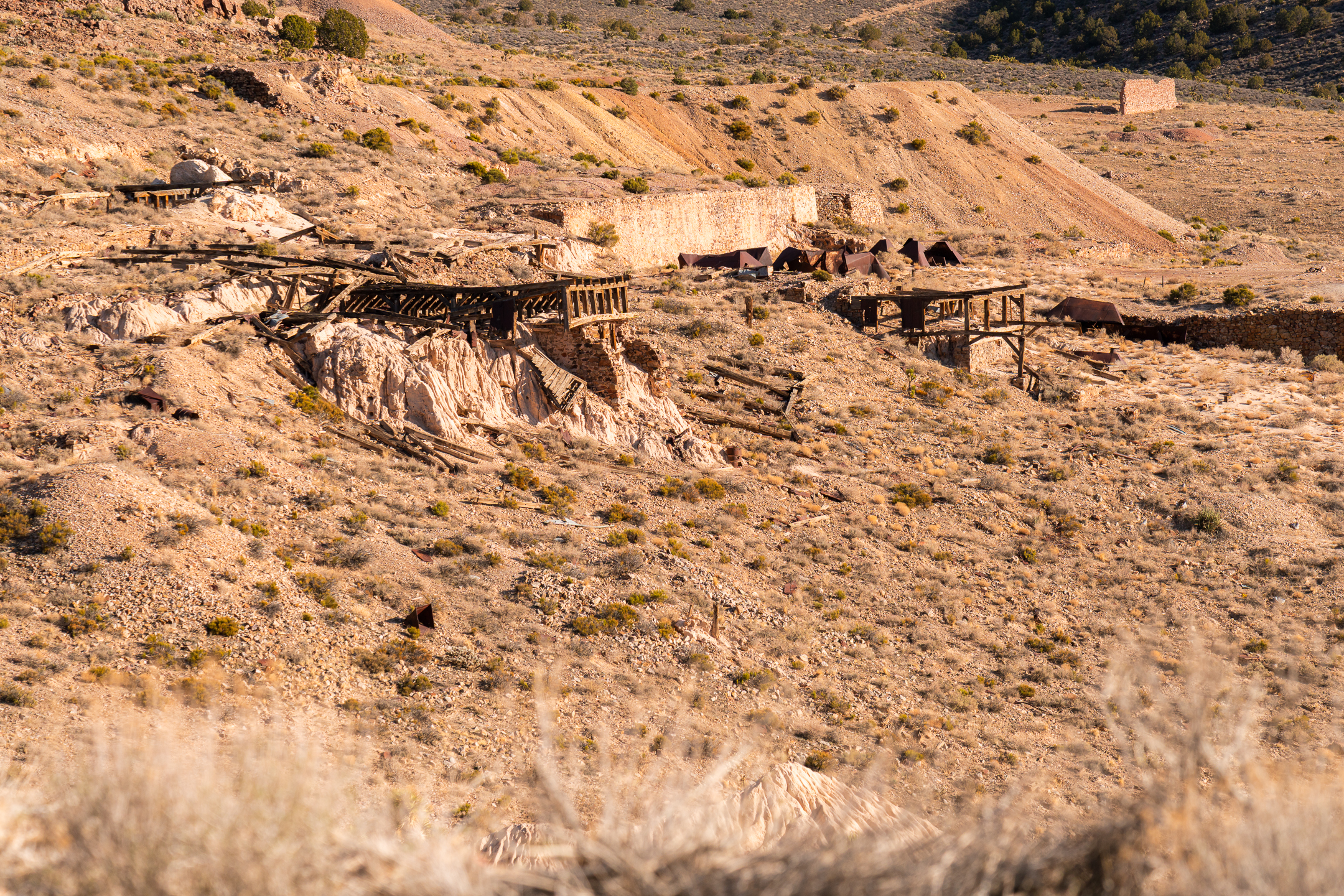 Delamar Ghost Town