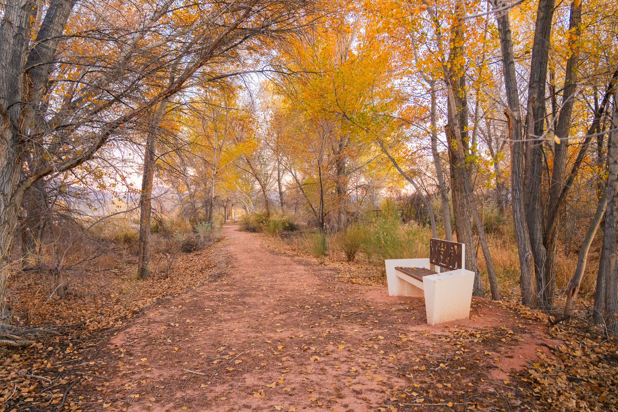 Upper Pahranagat Lake Loop