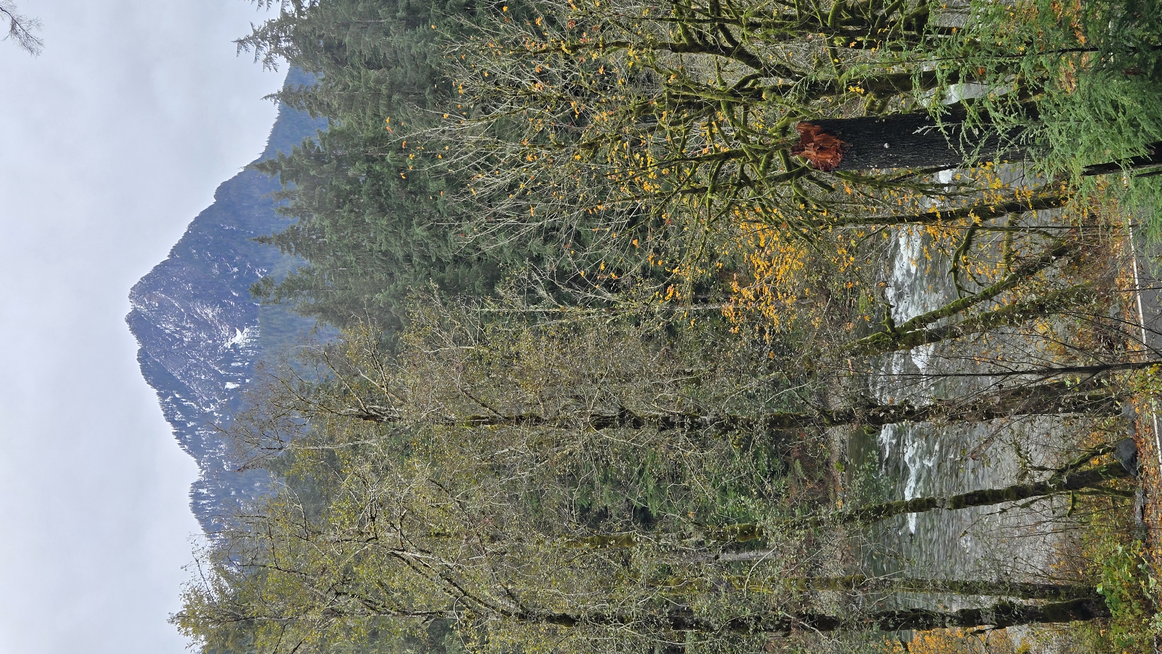 CCC Road: Upper Trailhead