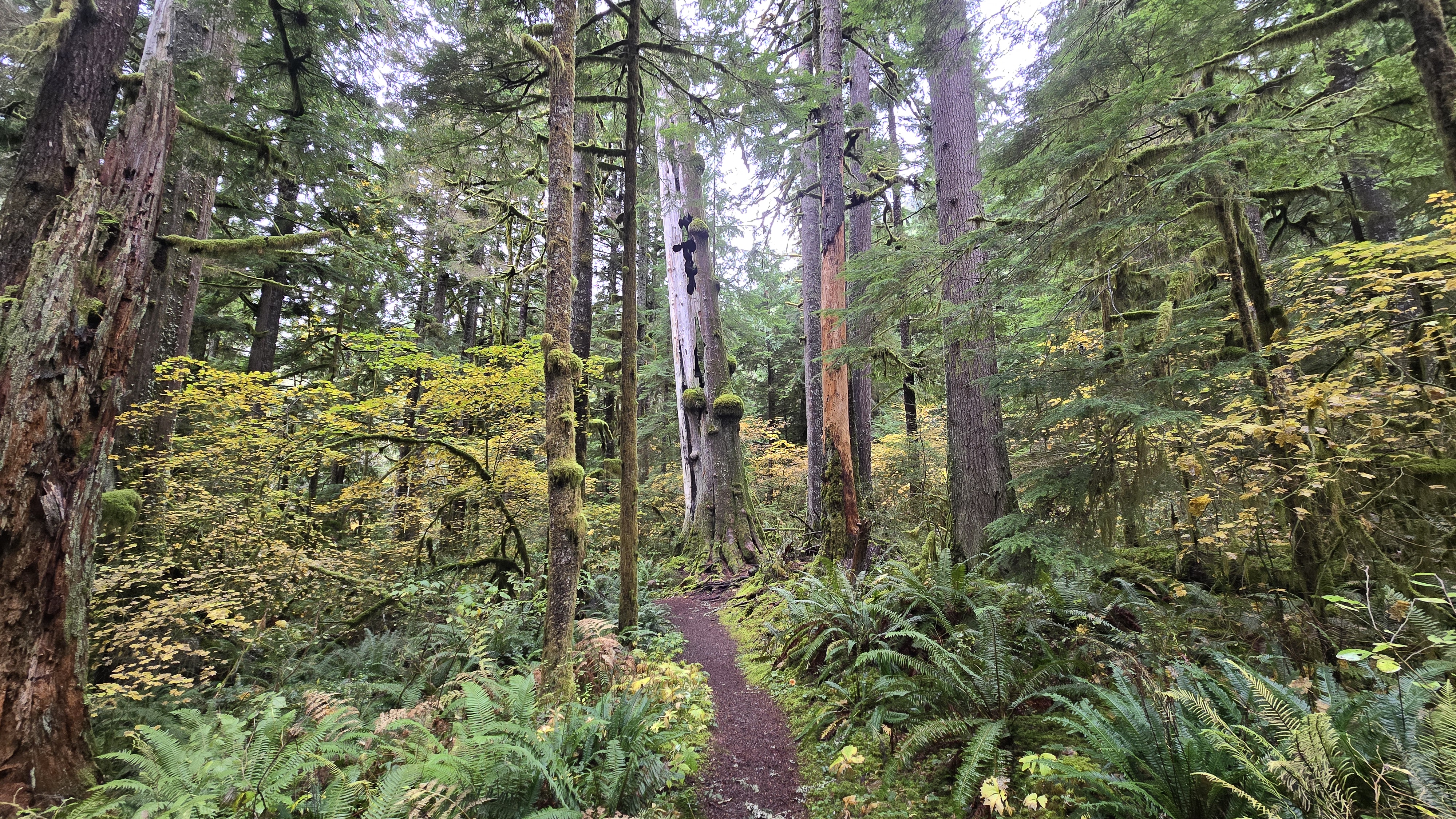 CCC Road: Upper Trailhead