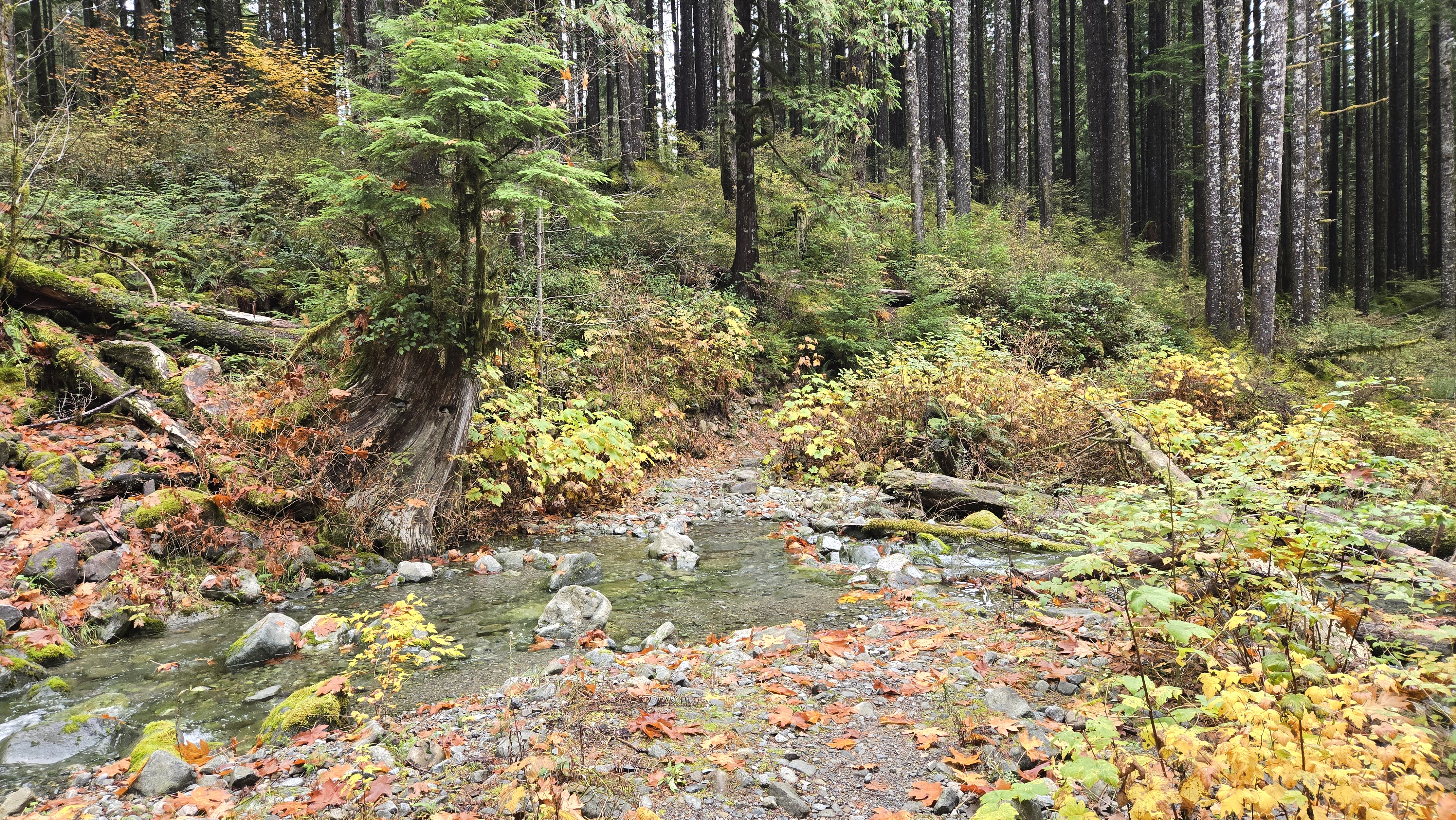 CCC Road: Upper Trailhead