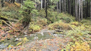 CCC Road: Upper Trailhead