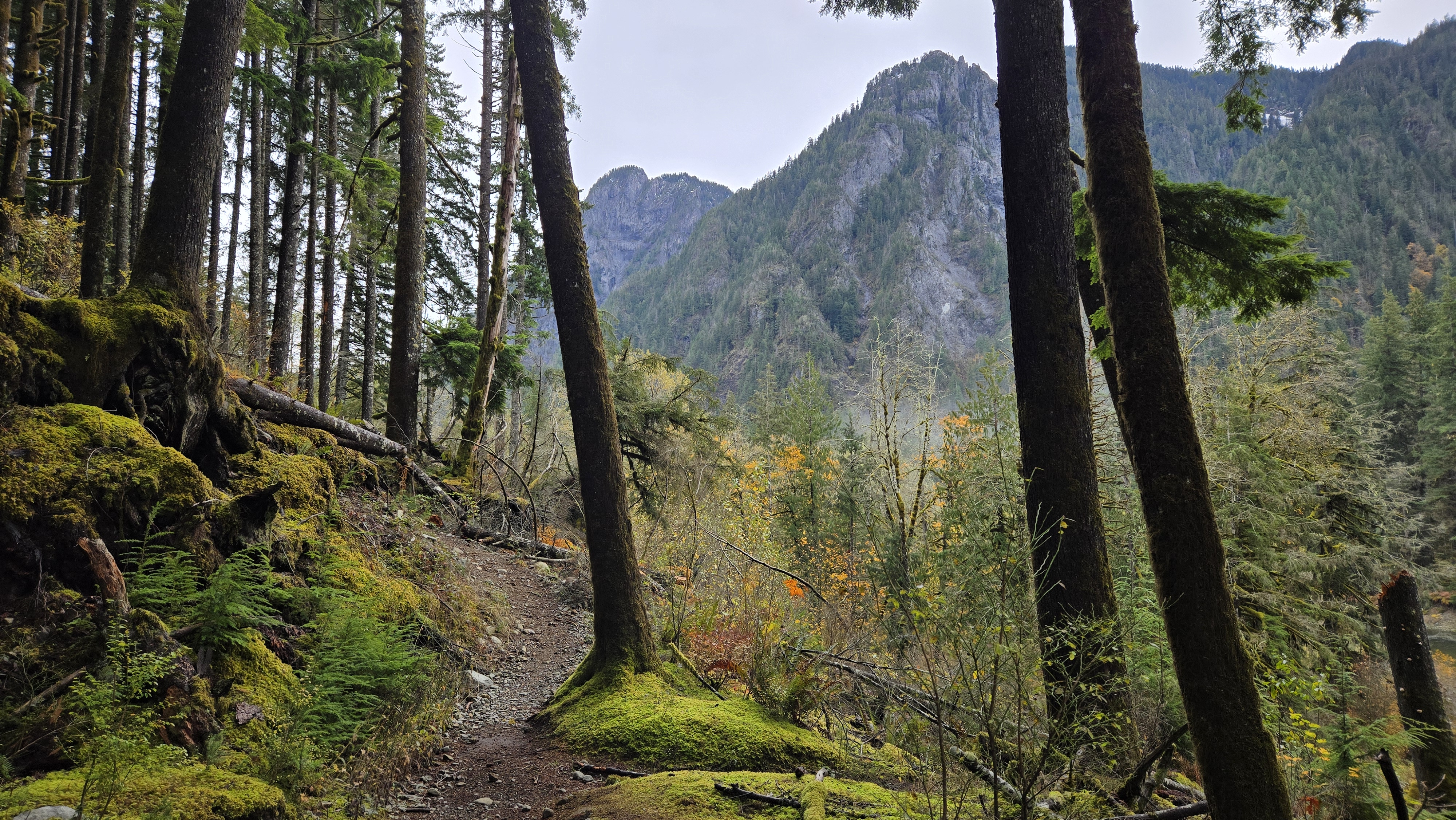 CCC Road: Upper Trailhead