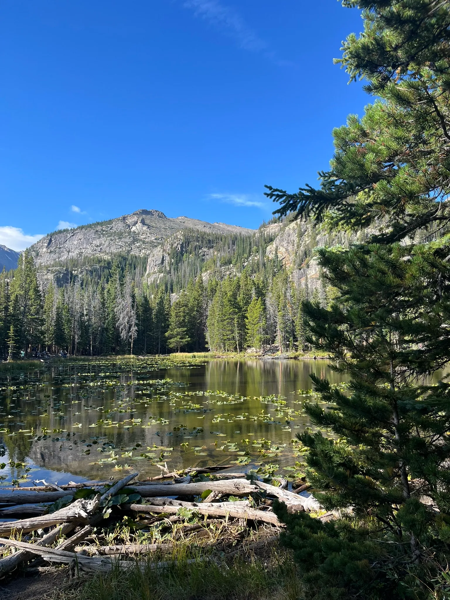 Dream Lake