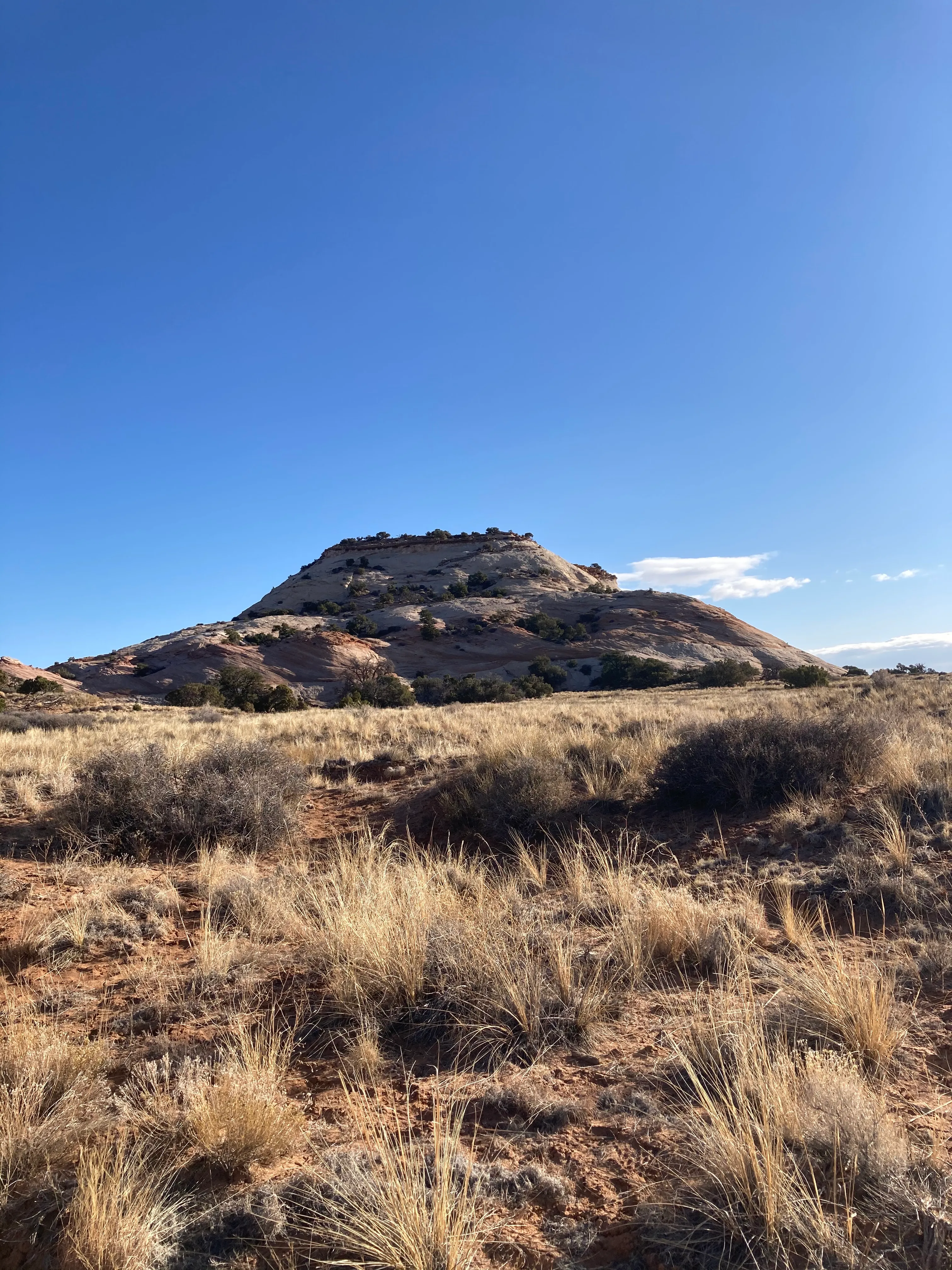 Hike the Aztec Butte Trail