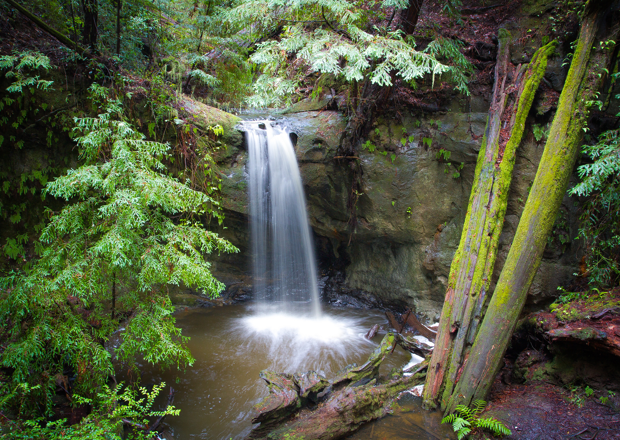 Big Basin's Sunset Trail Camp