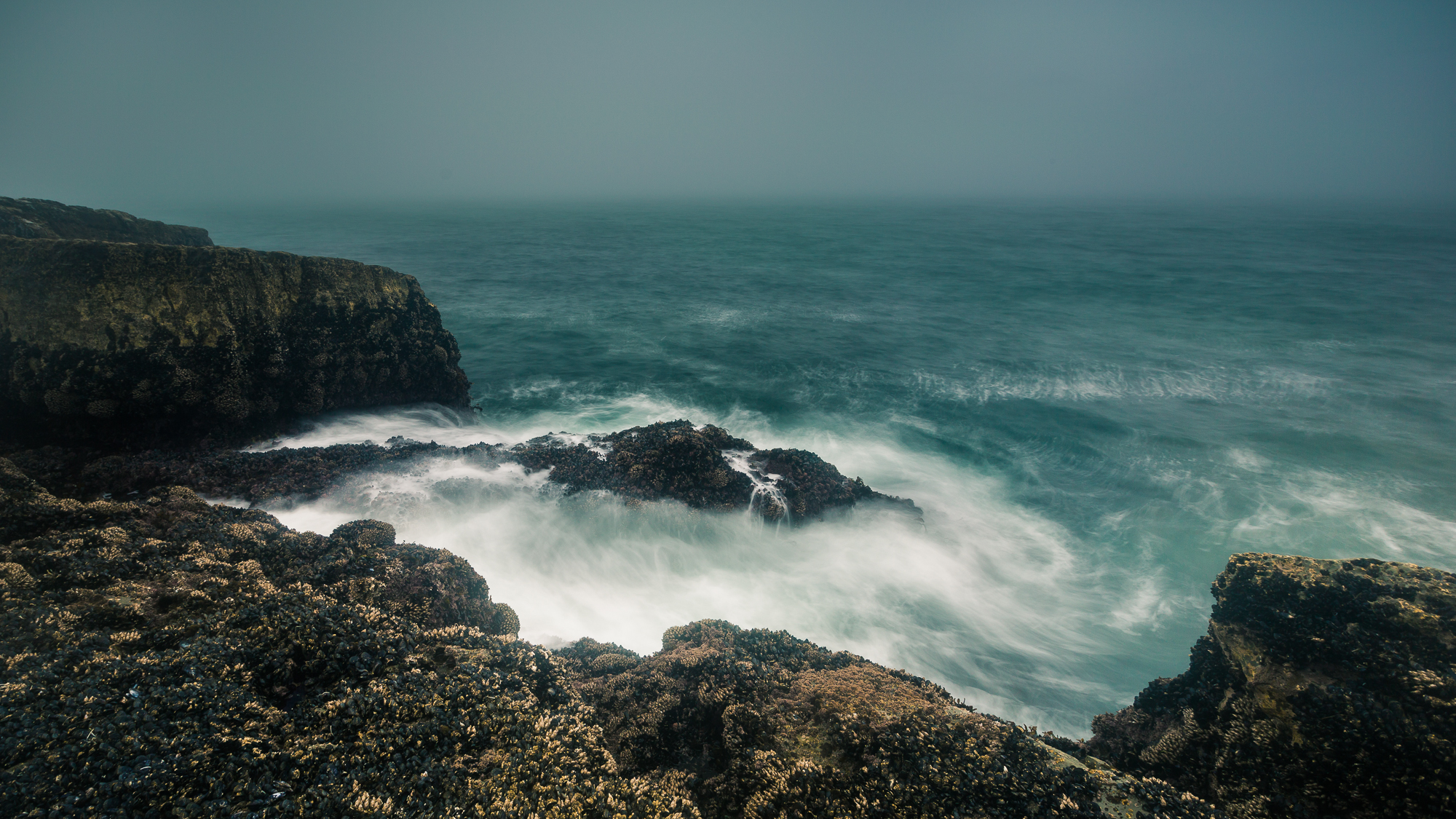 Panther Beach