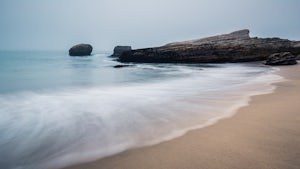 Explore Panther Beach
