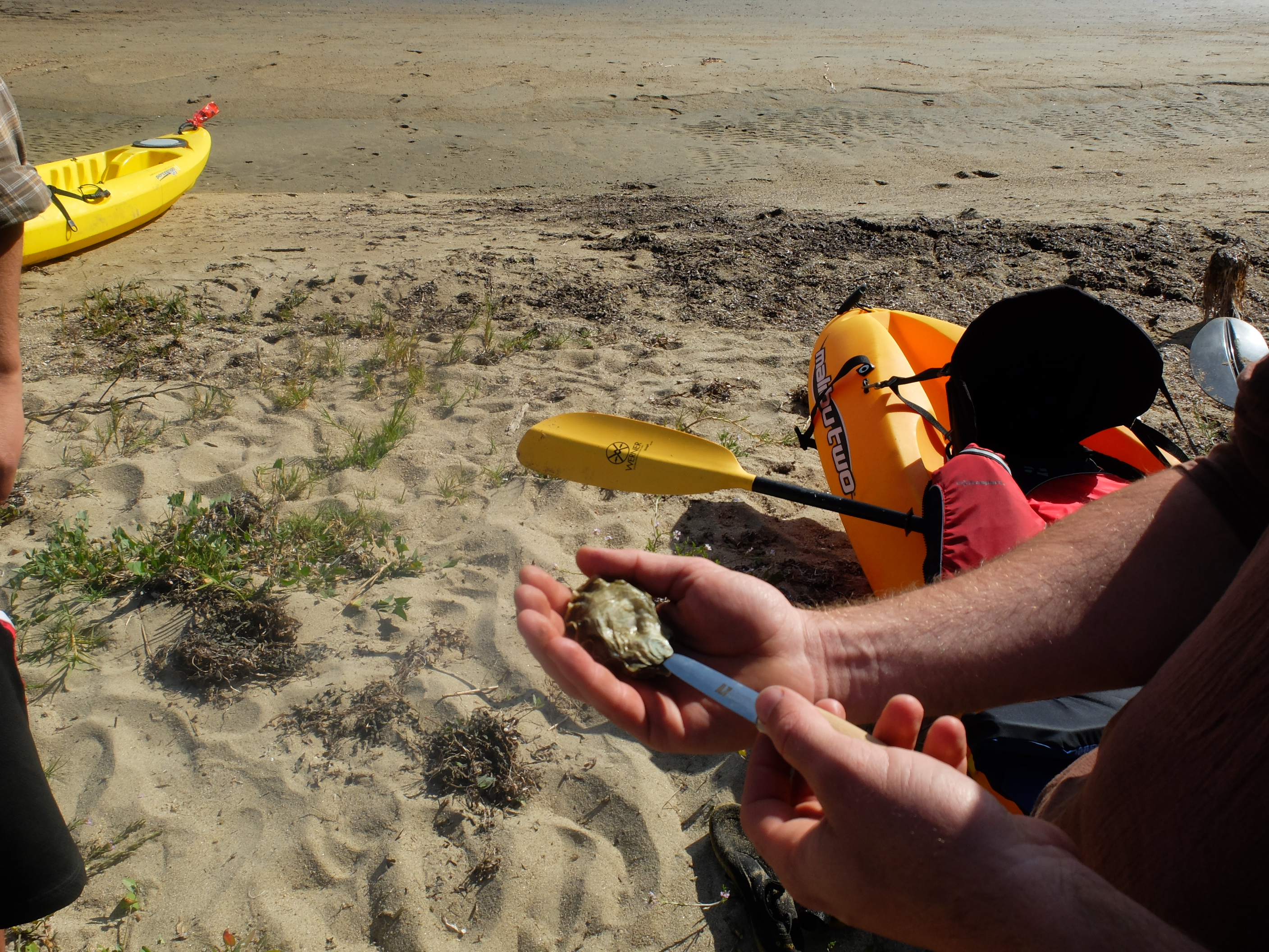Kayak Camping in Point Reyes