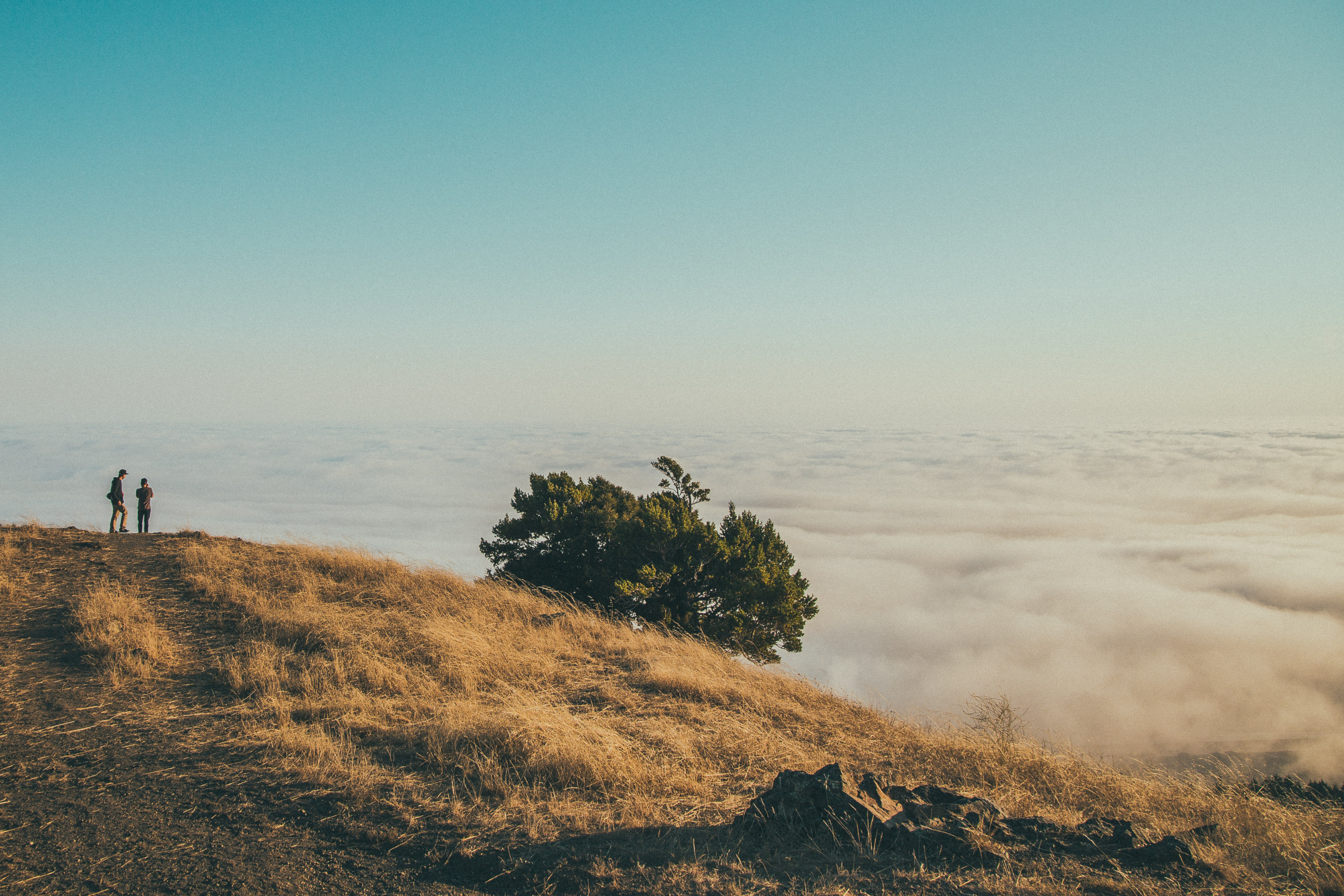 Summit of Mt. Tamalpais Loop