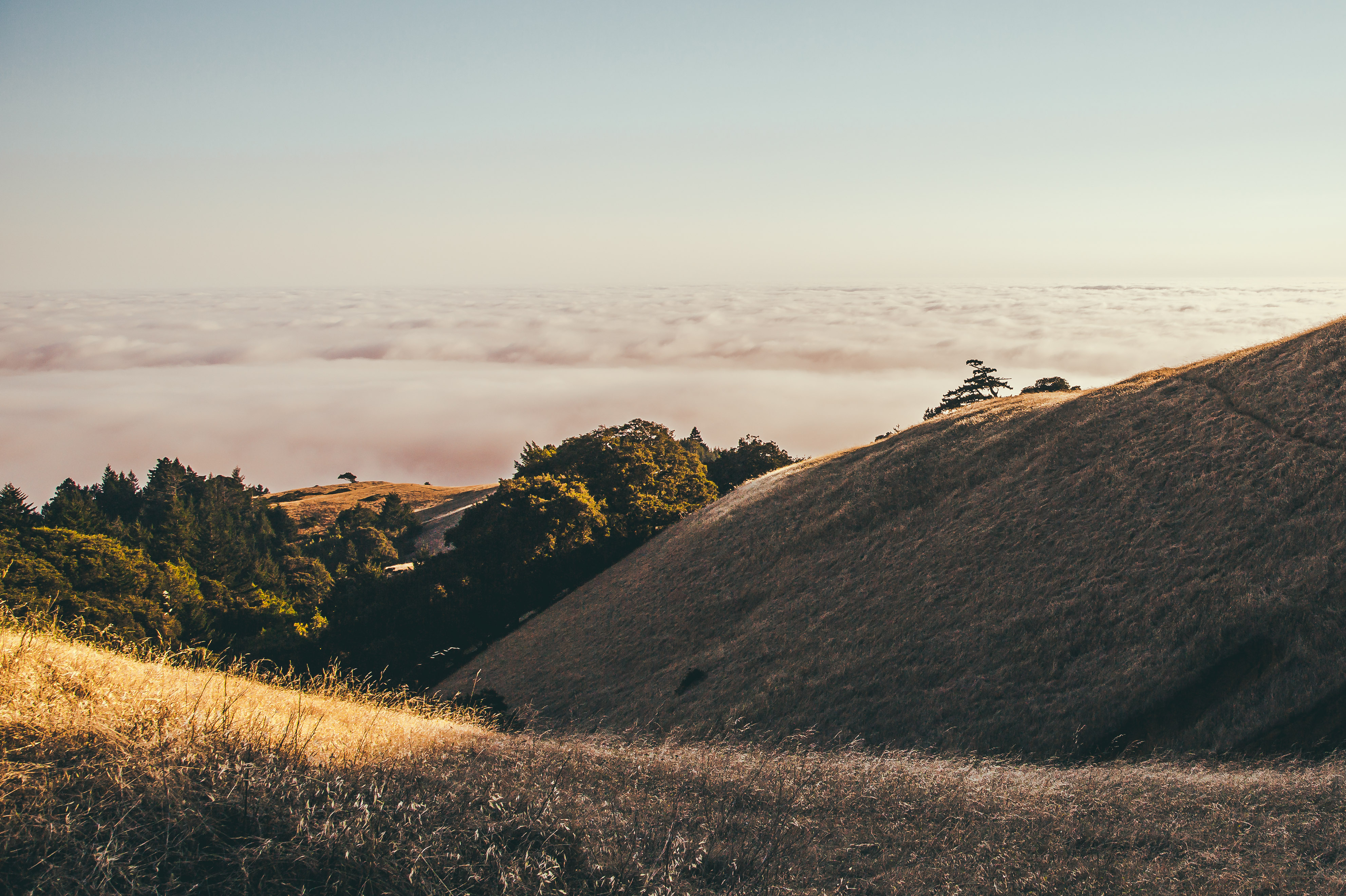 Summit of Mt. Tamalpais Loop