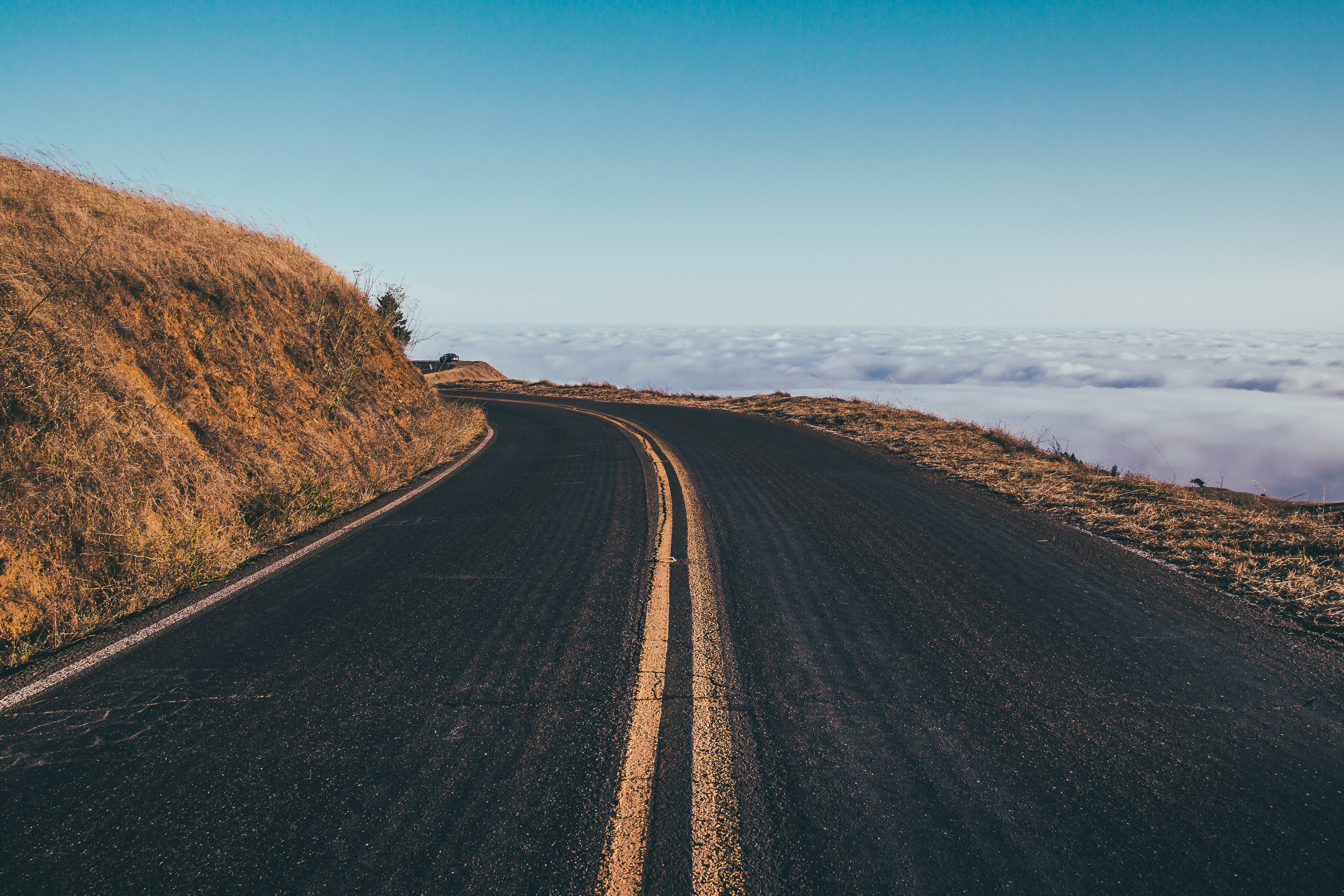 Summit of Mt. Tamalpais Loop