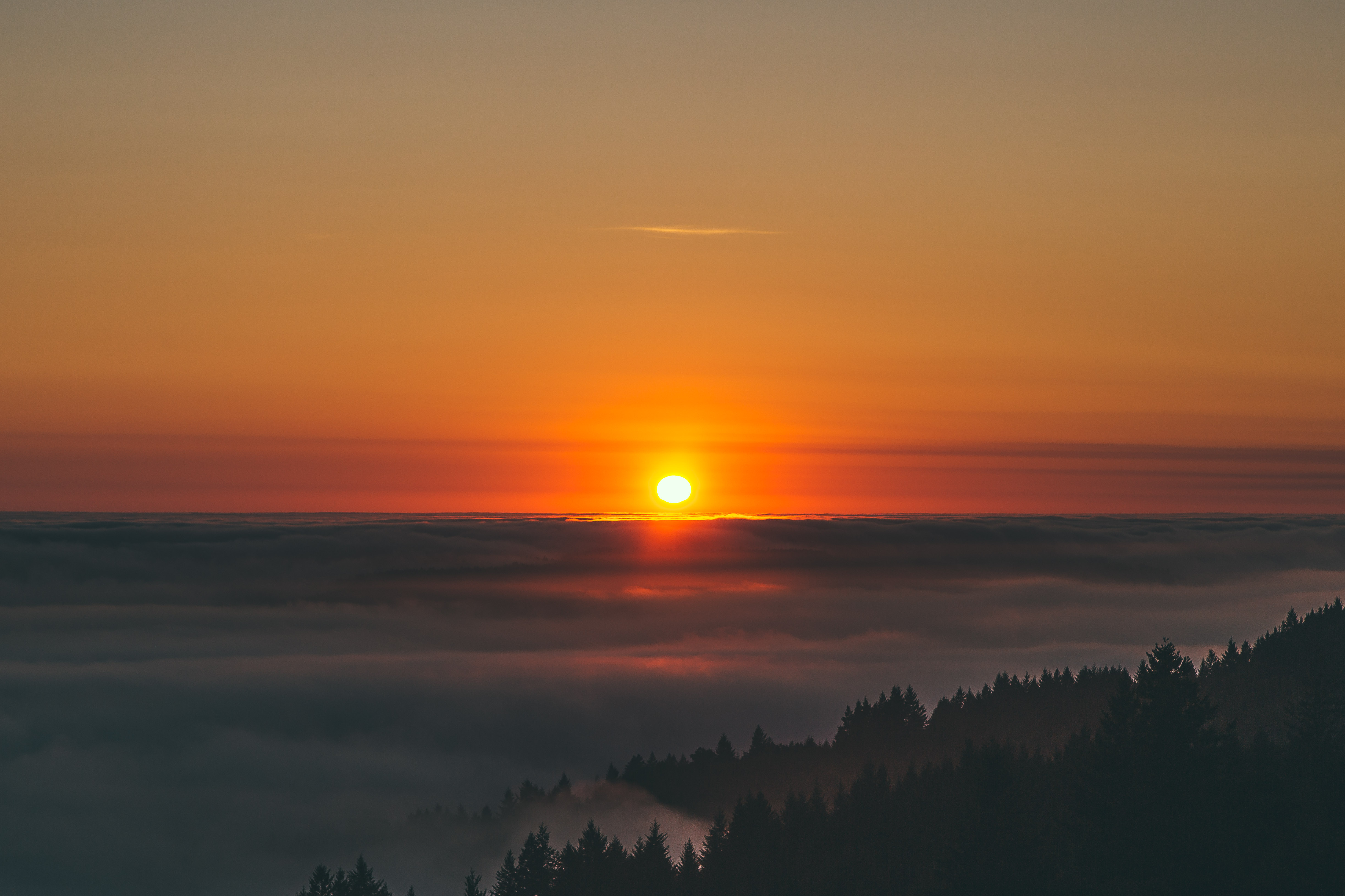Summit of Mt. Tamalpais Loop