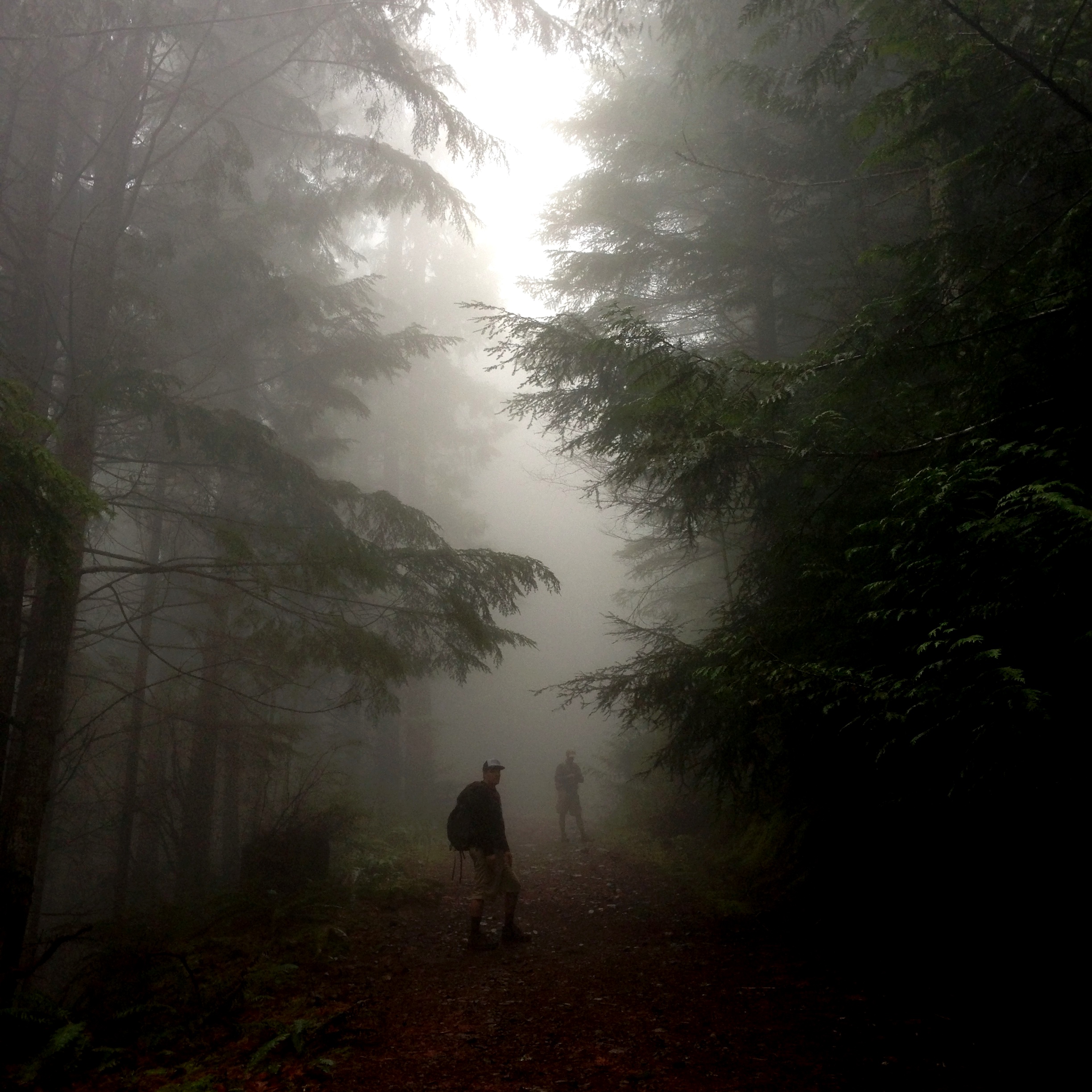 Mt. Si
