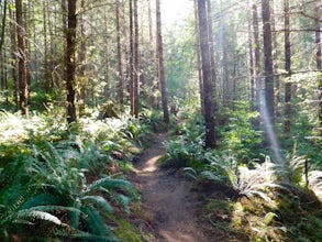 MTB on Phil's Trail Single Track