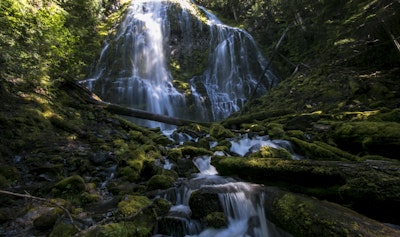 Hike to Proxy Falls, Proxy Falls Trailhead