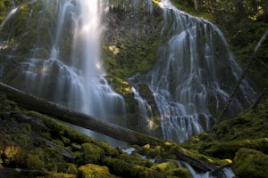 Proxy Falls