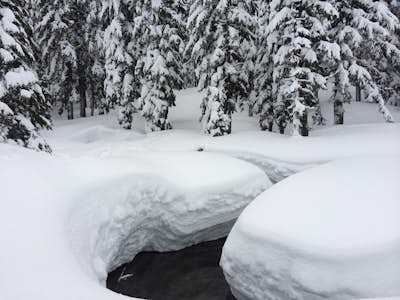 Snowshoe to Todd Lake 