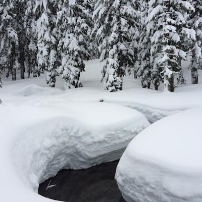 Snowshoe to Todd Lake 