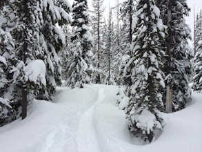 Snowshoe to Todd Lake 