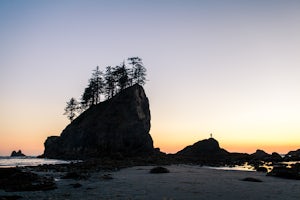 Camp at Second Beach in Olympic NP