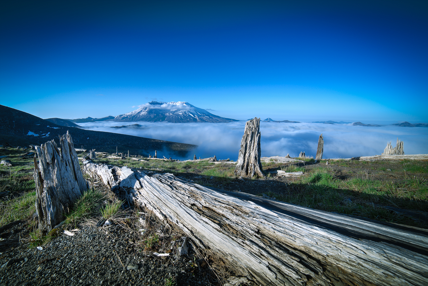 Mount Margaret's Ridge Camp via Coldwater Trailhead