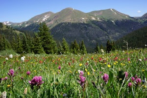 Butler Gulch