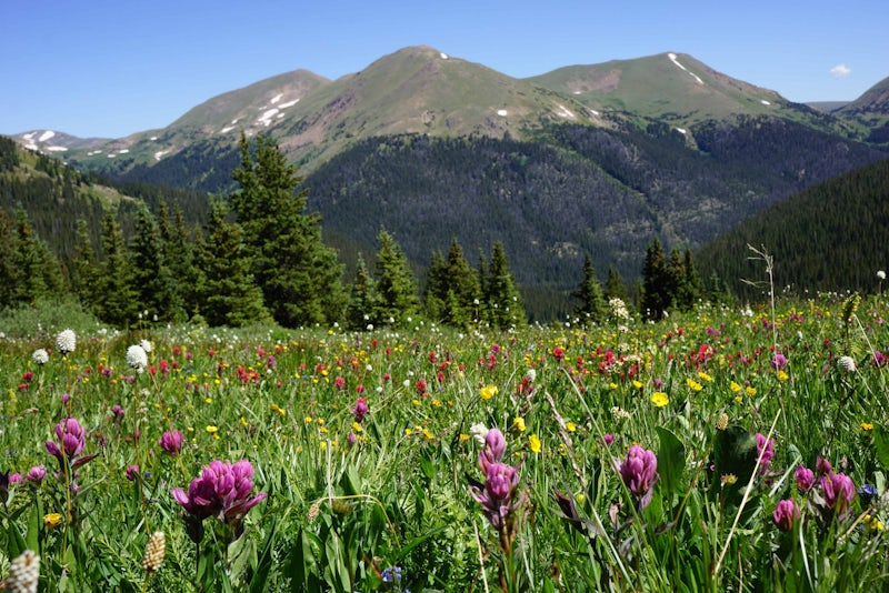 Photo of Butler Gulch