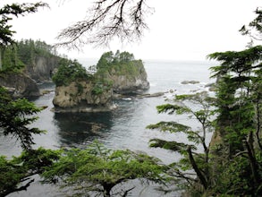 Explore Cape Flattery and Hobuck Beach