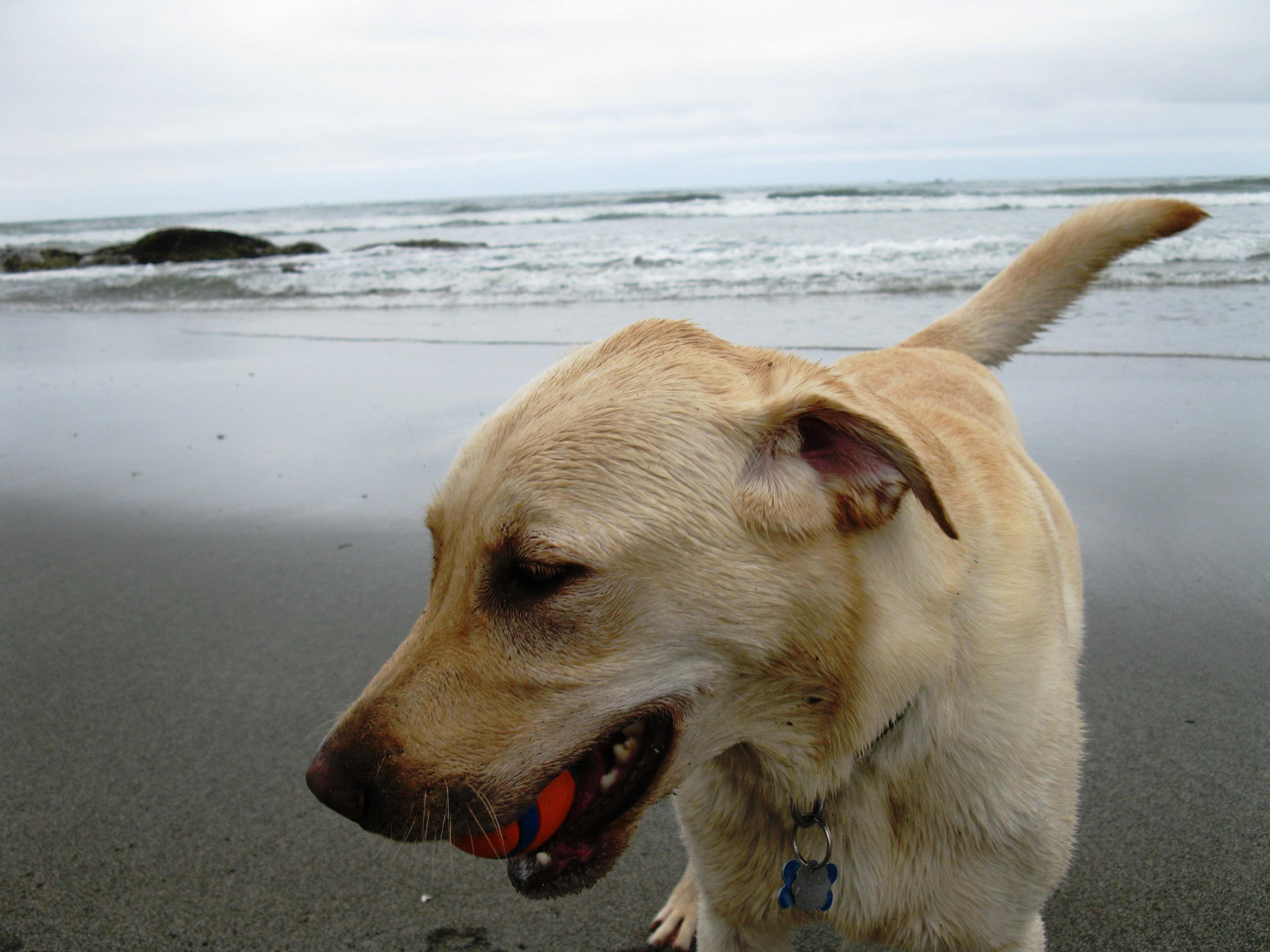 Hobuck Beach