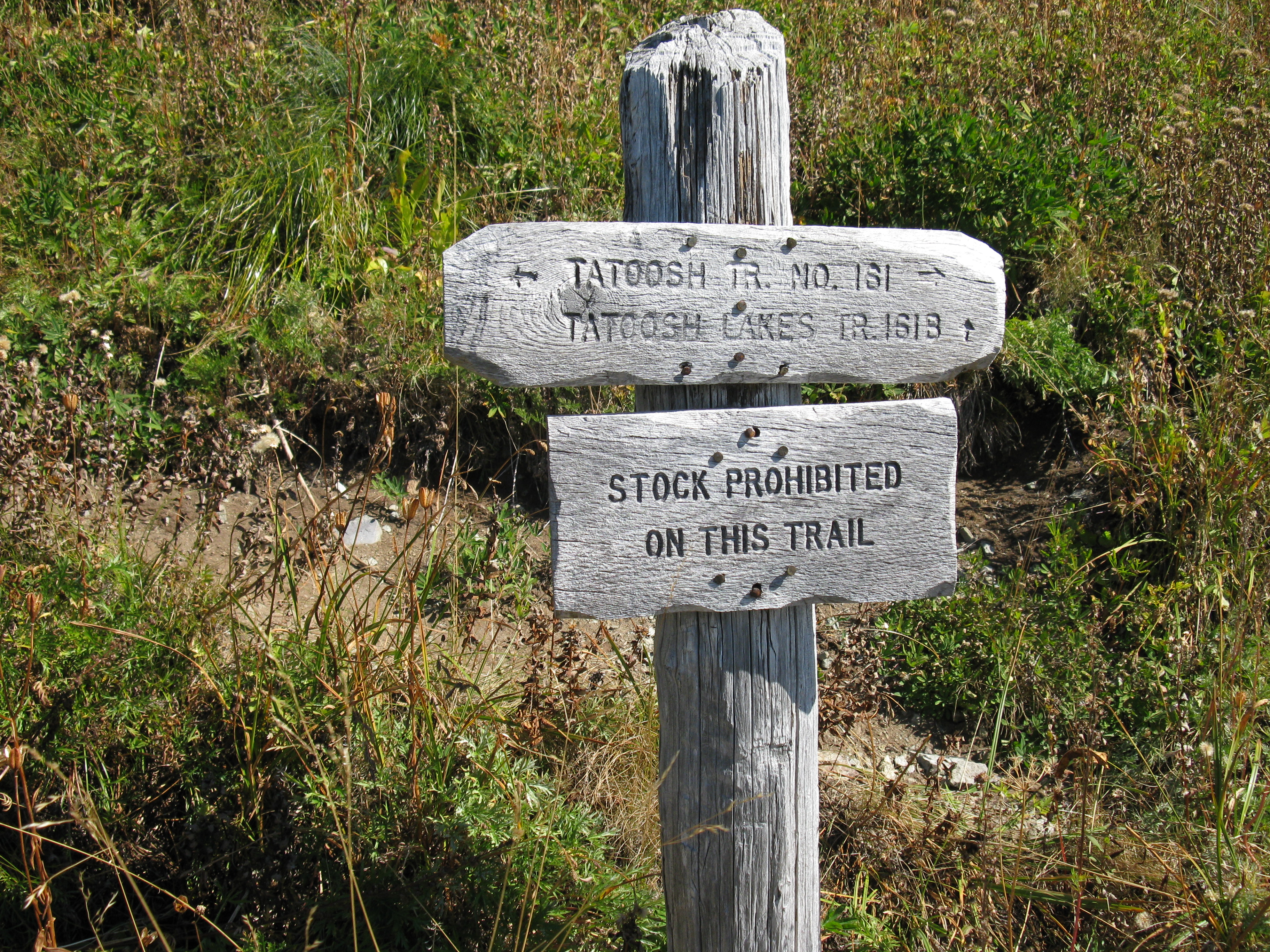 Hike and Fish the Tatoosh Lakes 