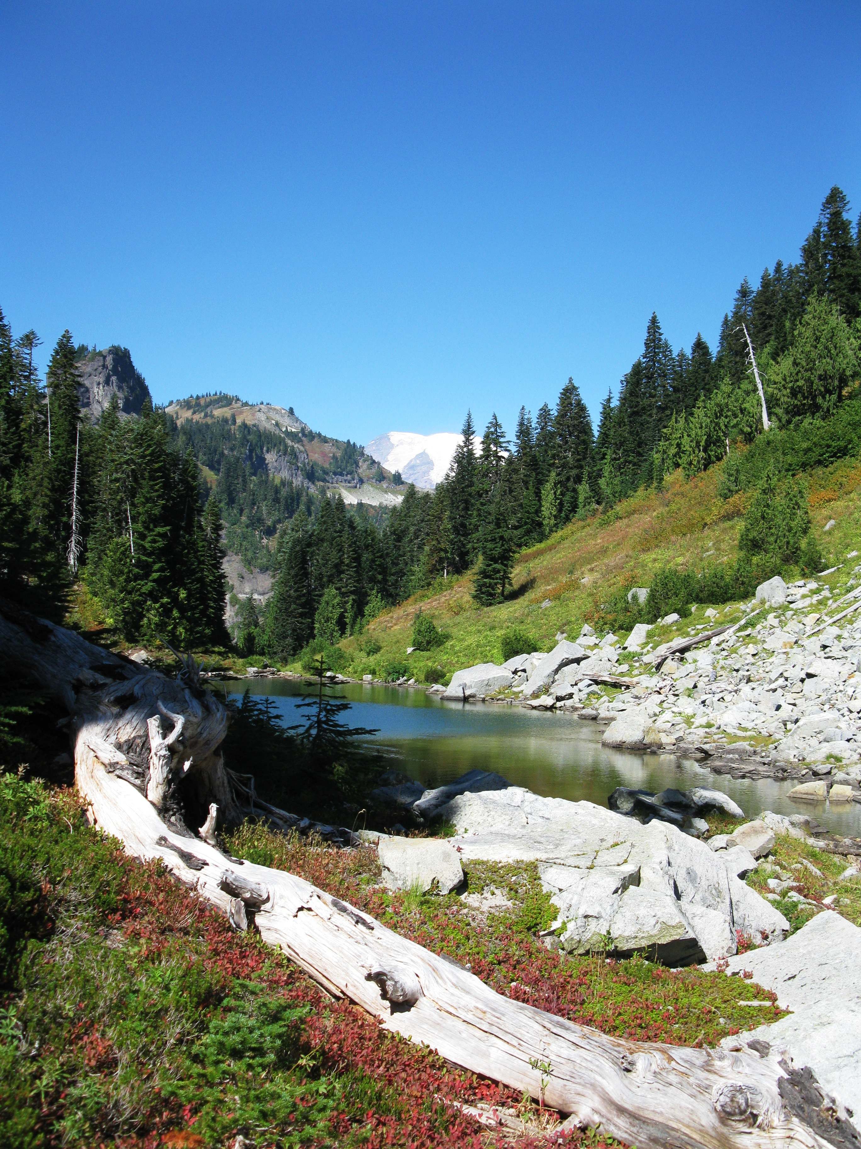 Hike and Fish the Tatoosh Lakes 