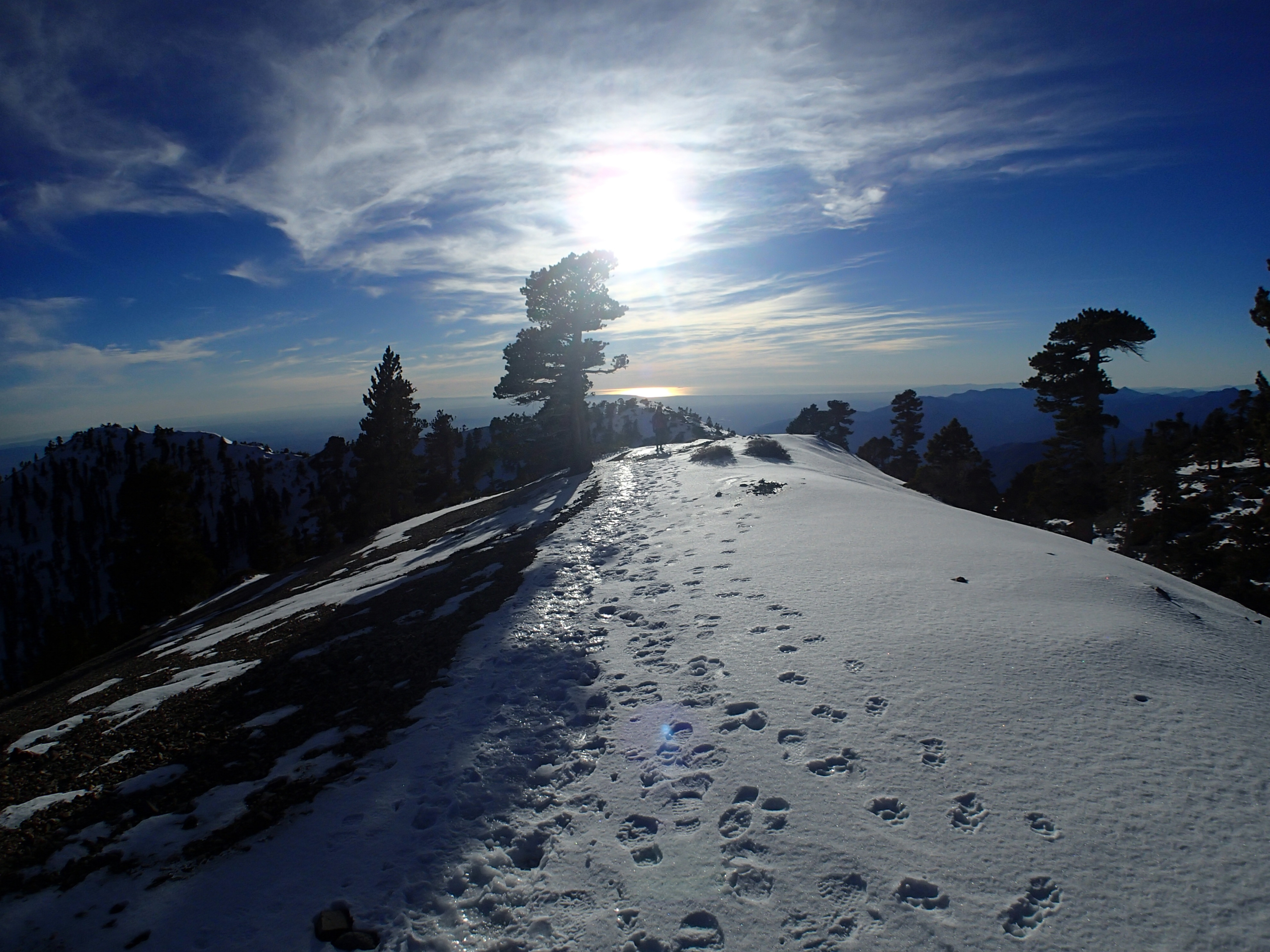 Summit Mt. Baldy