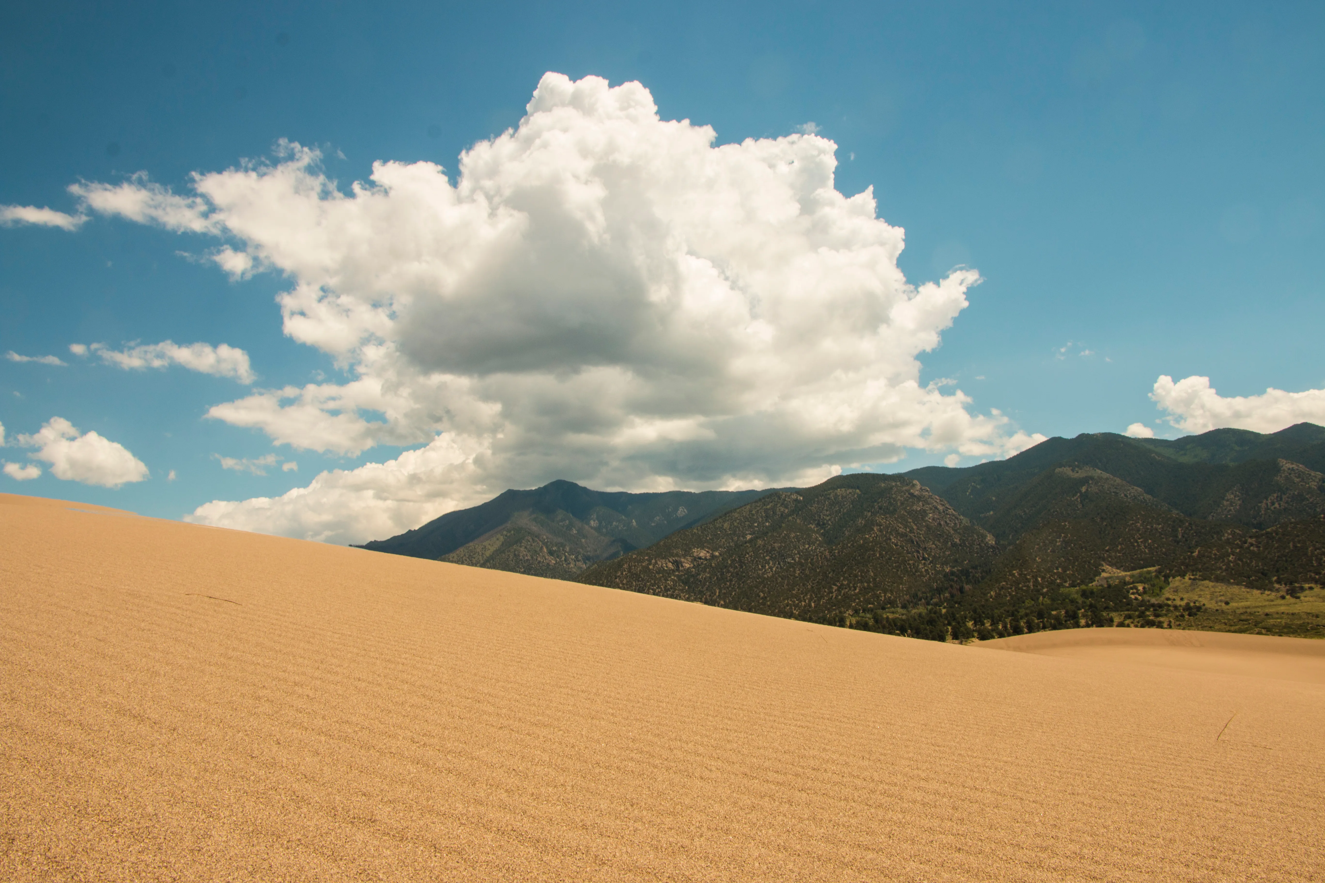 High Dune